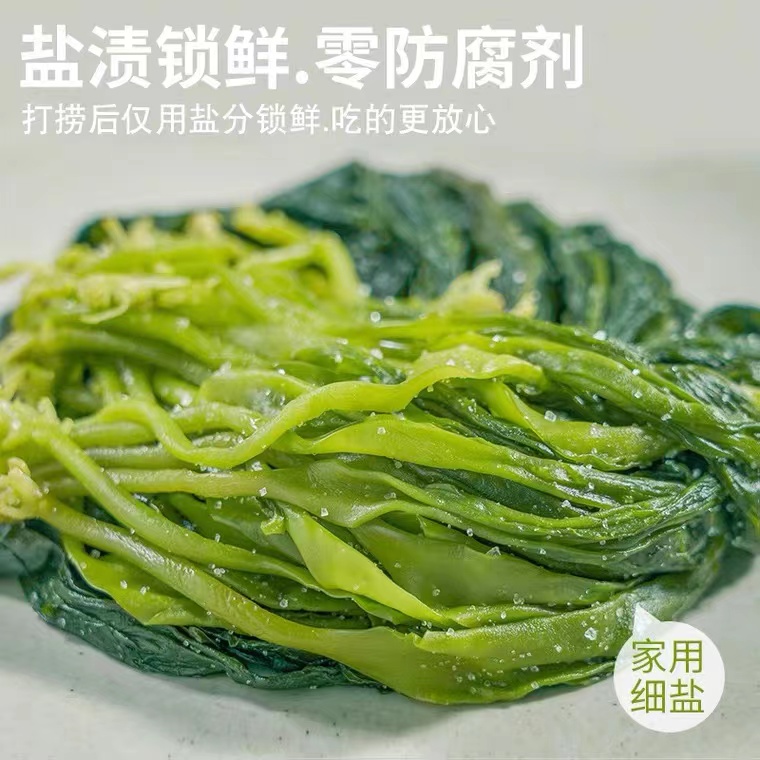 鹽漬海帶苗