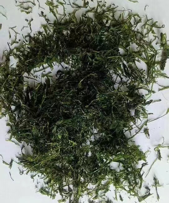 滸苔